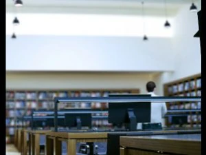 reading room 3D Model