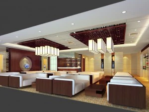 przestrzenie przedkomorowe 029 Model 3D