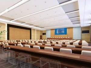 conference spaces 056 3D Model