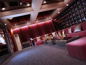 bar spaces 008 3D Model