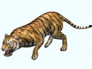tiger 3D-Modell