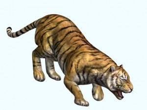 tiger 3D-Modell