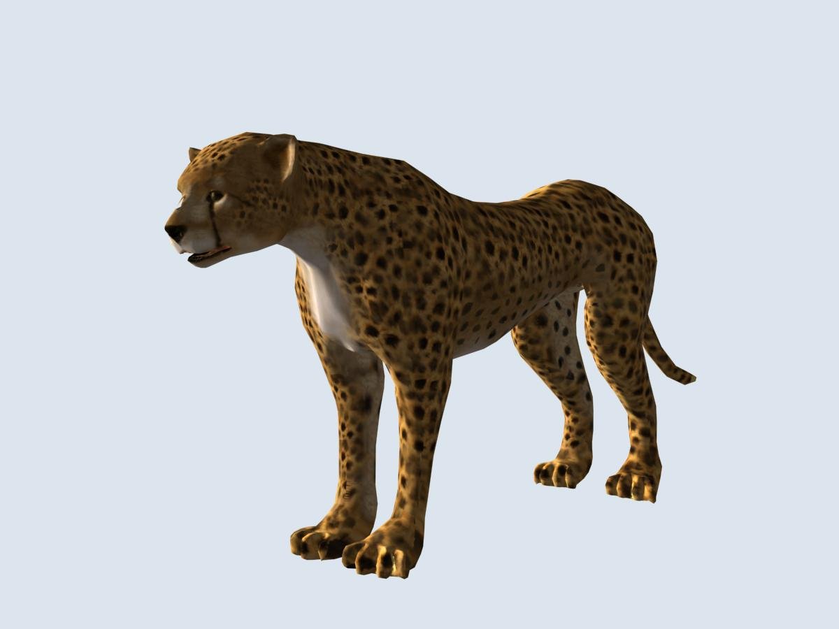 cheetah3d review