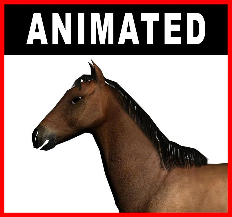 horse 3D Model .c4d .max .obj .3ds .fbx .stl .blend 