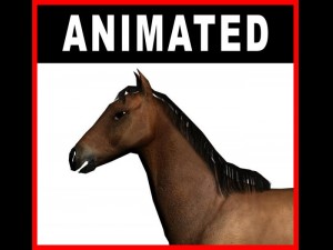 horse Model 3D