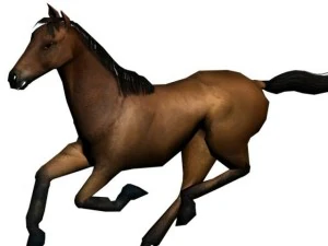 horse 3D Model