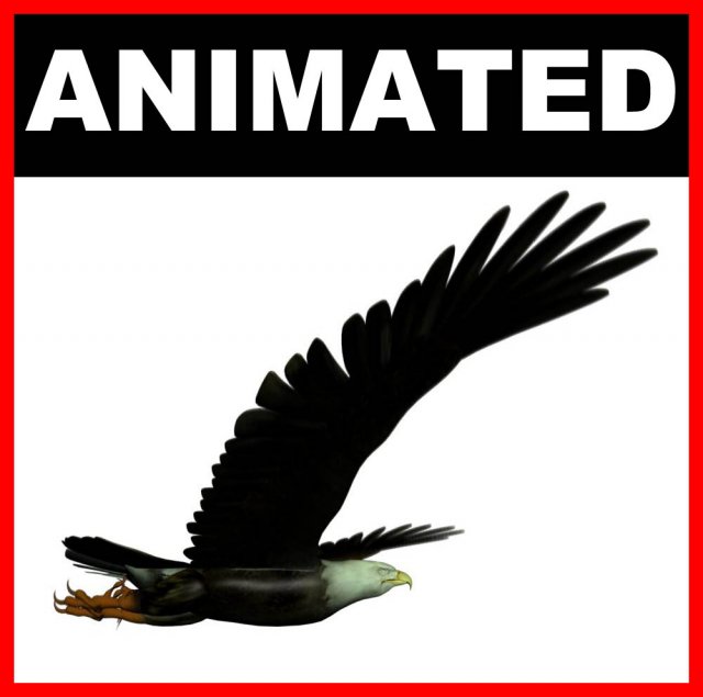 eagle Modèle 3D .c4d .max .obj .3ds .fbx .stl .blend 