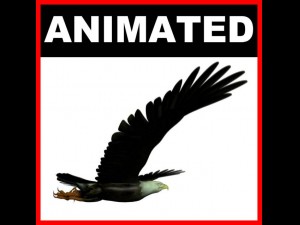 eagle Modelo 3D