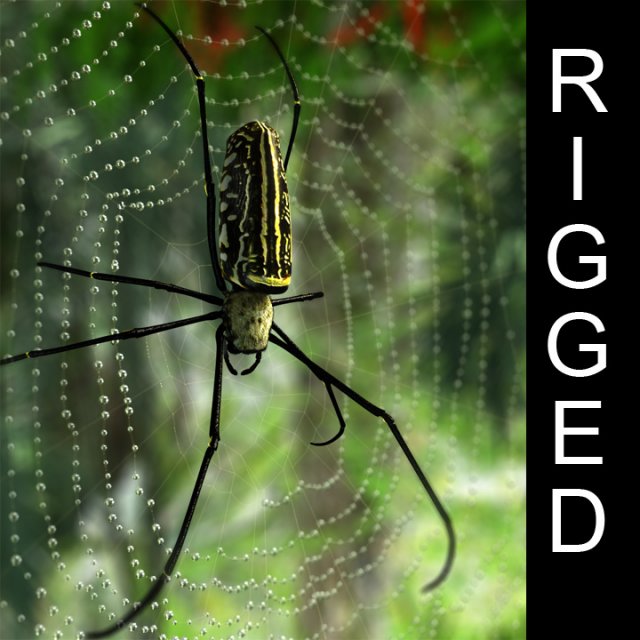 giant golden silk spider 3Dモデル .c4d .max .obj .3ds .fbx .stl .blend 