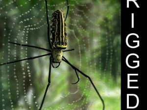 gigantische gouden zijden spin 3D Model