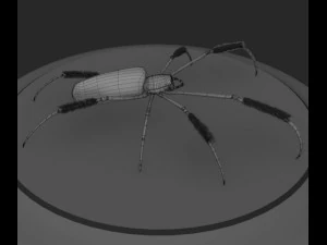 giant golden silk spider 3D Model