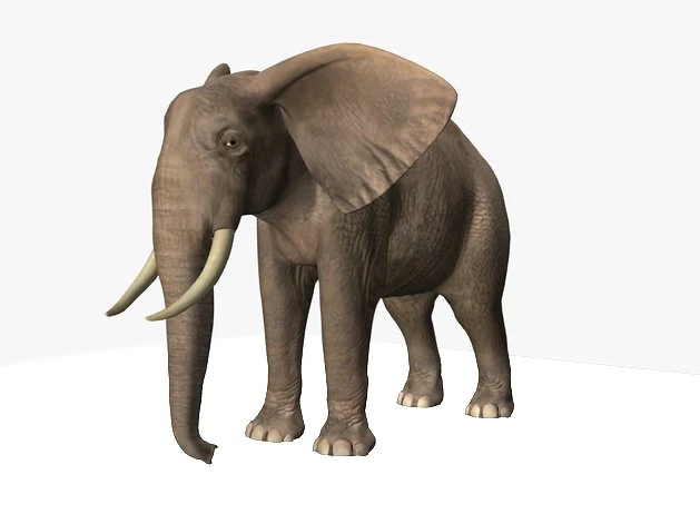 african elephant 3D Model .c4d .max .obj .3ds .fbx .stl .blend 