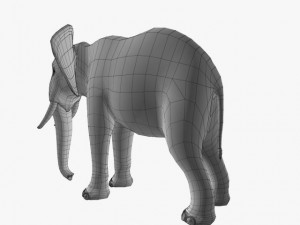 african elephant Model 3D