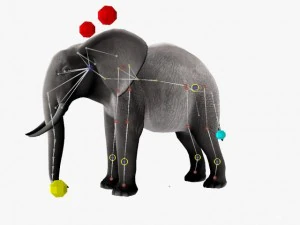 african elephant 3D Model