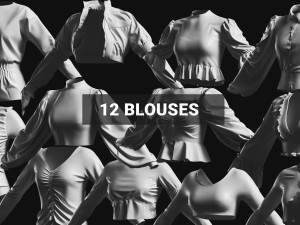 Basemesh Blouse Collection Modello 3D