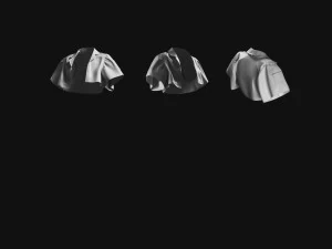 Basemesh Cape Hood Collection 3D Model
