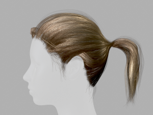 Realtime Hair Ponytail 3D-Modell