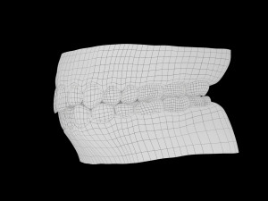 Gums Teeth and Tongue 3Dモデル