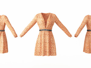 Female Clothing 05 3D Model