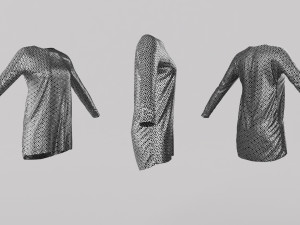 Female Clothing 06 3D 모델