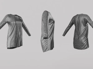 Female Clothing 06 3D Model