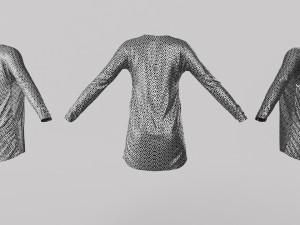 Female Clothing 06 3D 모델