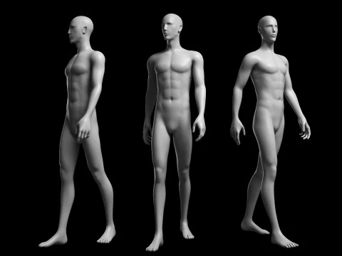 Mesh base maschile animata v2 - 12 pose Low-poly Modello 3D