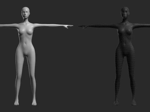 Mesh femminile animato 14 pose v4 Low-poly Modello 3D