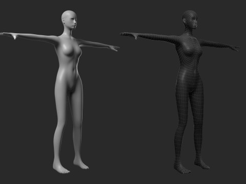 Animated Female Mesh 14 poses v4 Low-poly Modèle 3D