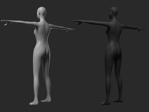 Mesh femminile animato 14 pose v4 Low-poly Modello 3D