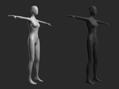 Animated Female Mesh 14 poses v3 Low-poly 3D Model