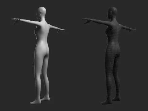 Animated Female Mesh 14 poses v3 Low-poly 3D Model