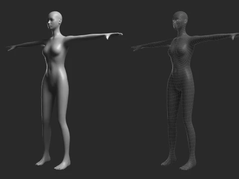 Animated Female Mesh 14 poses v1 Low-poly 3D Model