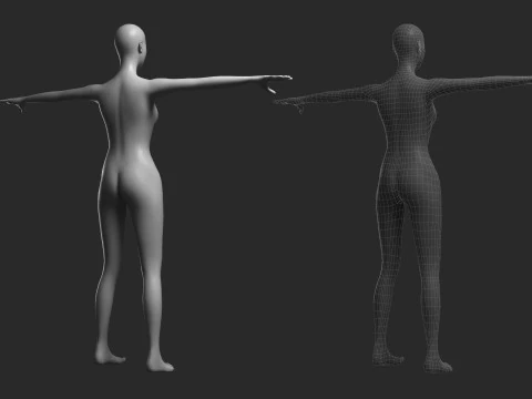 Animated Female Mesh 14 poses v1 Low-poly 3D Model