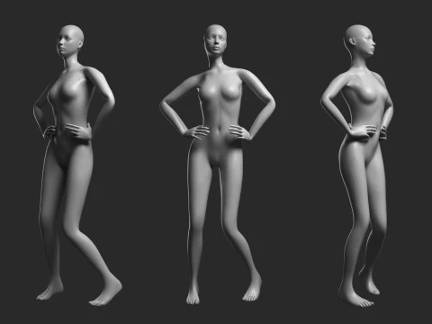 Animated Female Mesh 14 poses v1 Low-poly 3D Model