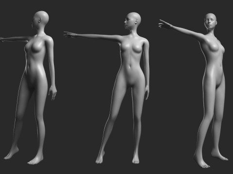 Animated Female Mesh 14 poses v1 Low-poly 3D Model