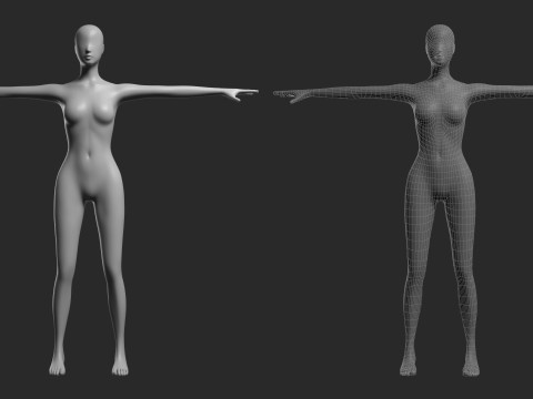 Animated Female Mesh 14 poses v2 Low-poly Modèle 3D