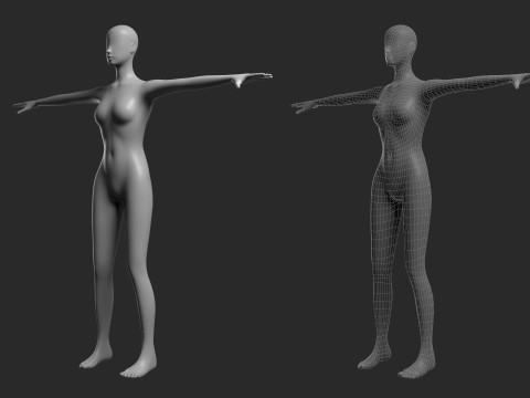 Animated Female Mesh 14 poses v2 Low-poly Modèle 3D