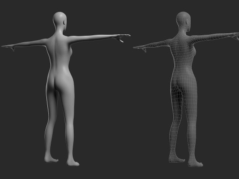 Animated Female Mesh 14 poses v2 Low-poly Modèle 3D
