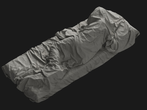 Single Bed with Sleeping Person 3D 模型