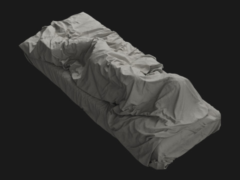 Single Bed with Sleeping Person Model 3D