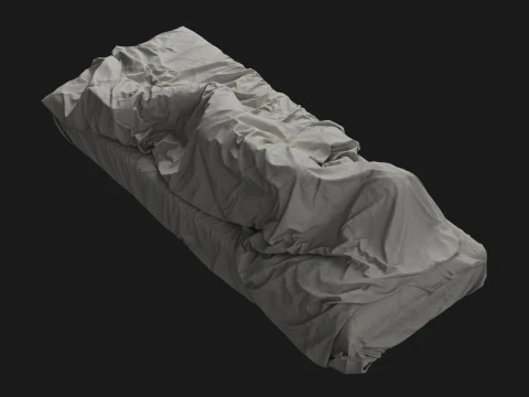 Single Bed with Sleeping Person 3D Model