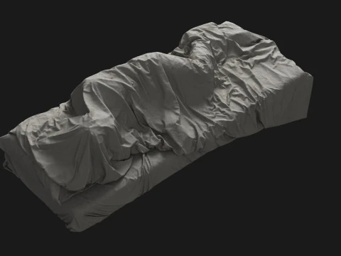 Single Bed with Sleeping Person 3D Model