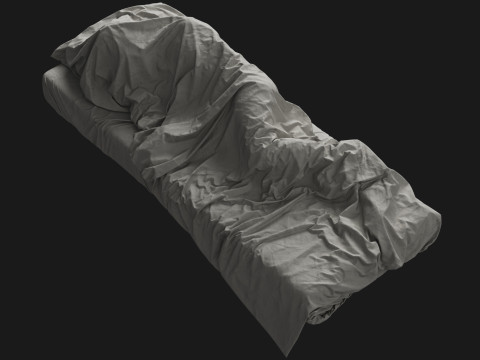 Single Bed with Sleeping Person Model 3D