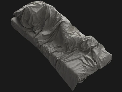 Single Bed with Sleeping Person 3D Model