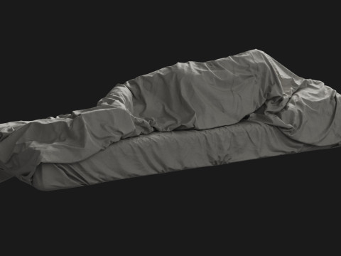 Single Bed with Sleeping Person Model 3D