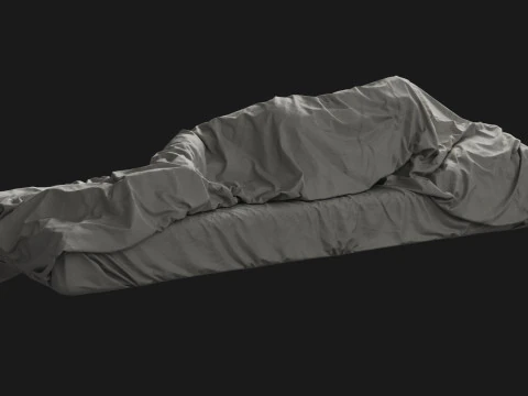 Single Bed with Sleeping Person 3D Model