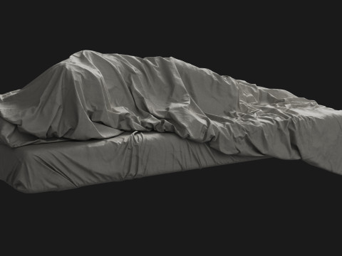 Single Bed with Sleeping Person Model 3D