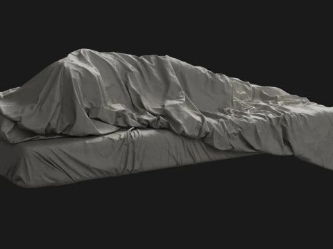 Single Bed with Sleeping Person 3D Model