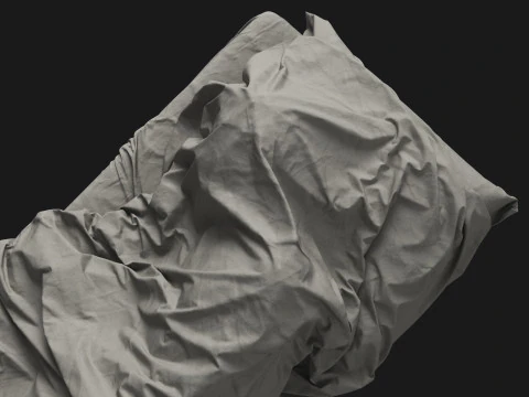 Single Bed with Sleeping Person 3D Model